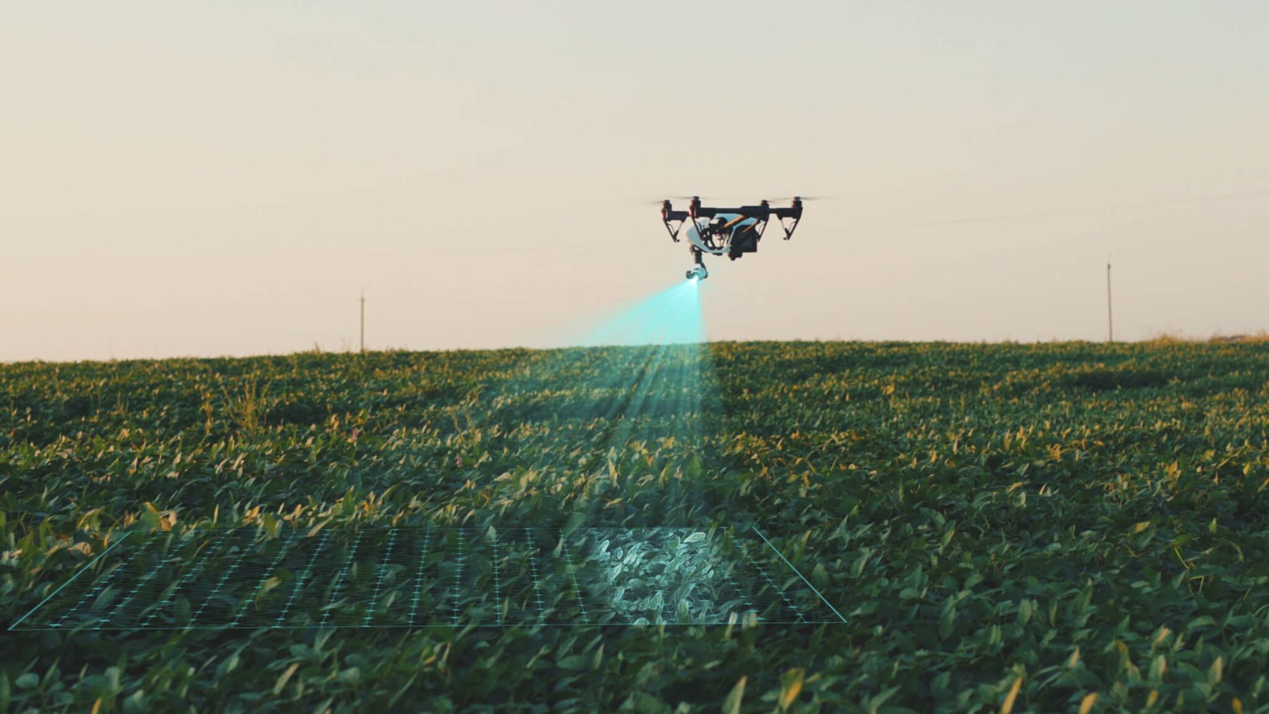Drone scanning a crop field with remote-sensing equipment