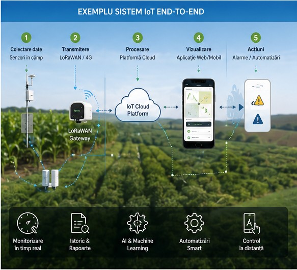 End-to-end IoT system example: collection, transmission, processing, visualisation, actions